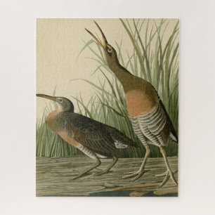 Salt Water Marsh Hen - Audubon's Birds of America Jigsaw Puzzle