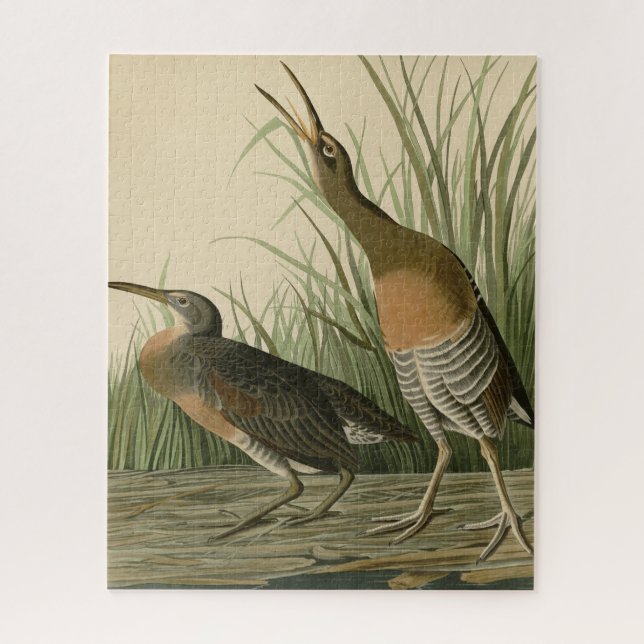 Salt Water Marsh Hen - Audubon's Birds of America Jigsaw Puzzle (Vertical)