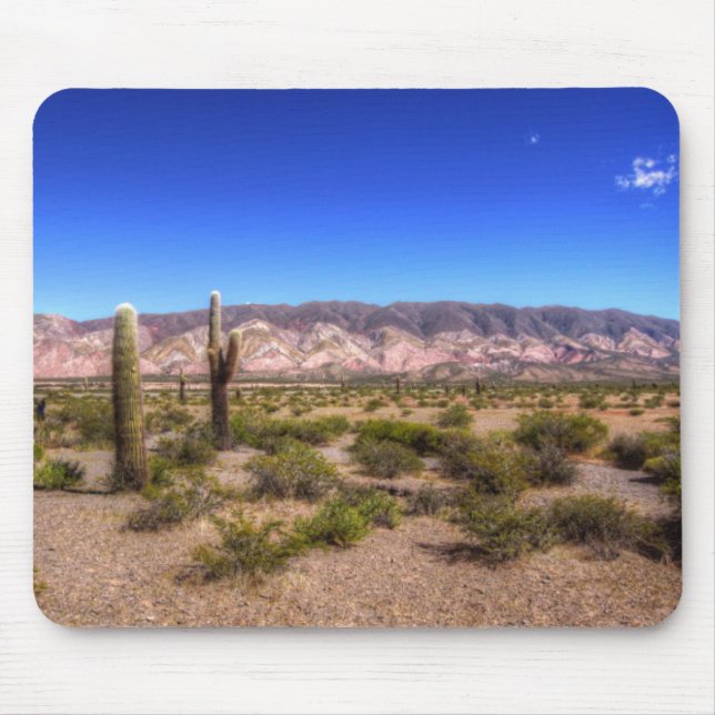Salta Argentina Cactus Plants And Barren Hill Mouse Pad (Front)