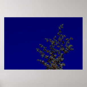 Saltbush Atriplex Leaf Nature Minimalistic Poster