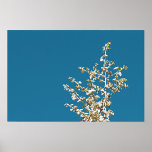 Saltbush Atriplex Leaf Nature Poster minimaliste