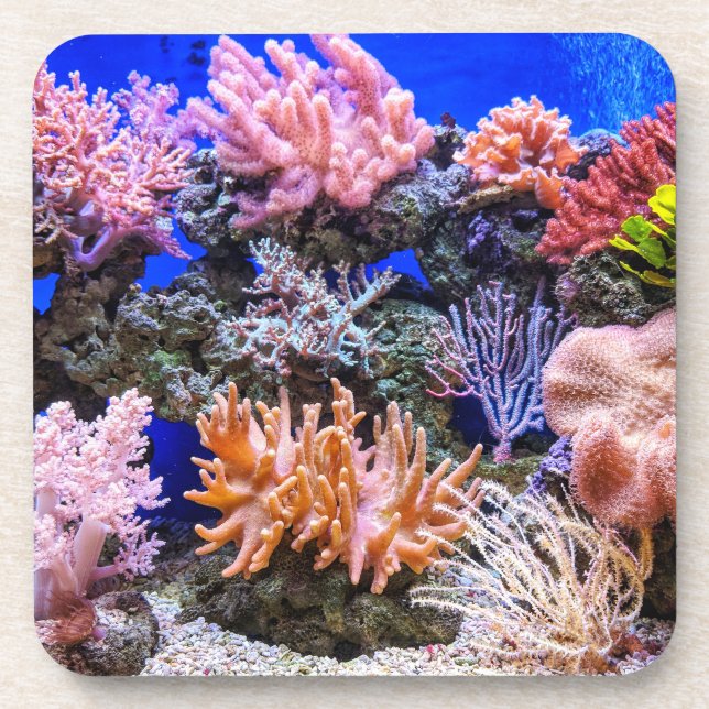 Saltwater Aquarium - Coral Reef Coaster (Front)