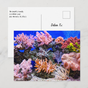 Saltwater Aquarium - Coral Reef Postcard