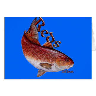 Saltwater Collection of Fish