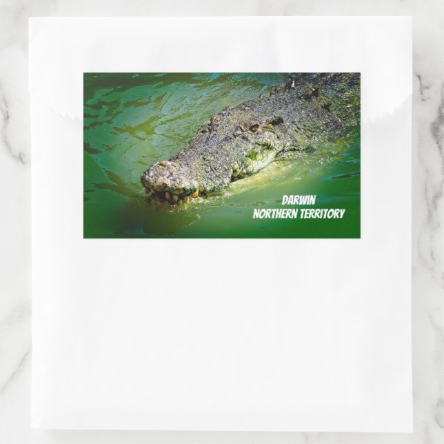 Saltwater Crocodile from Darwin Sticker (Bag)