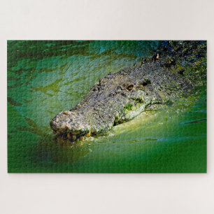 Saltwater Crocodile in Swampy waters Jigsaw Puzzle