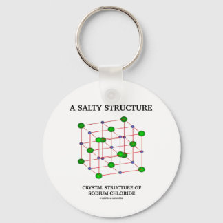 Salty Structure Crystal Structure Sodium Chloride Keychain