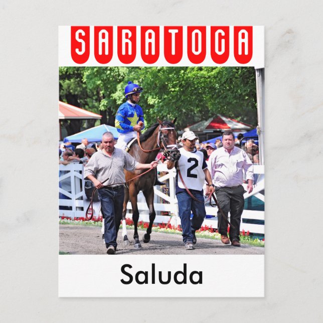 Saluda, 2 year old filly by Congaree Postcard (Front)