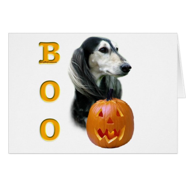 Saluki Boo (Devant horizontal)