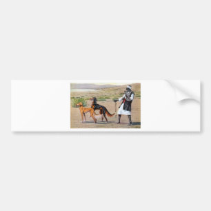 saluki bumper sticker