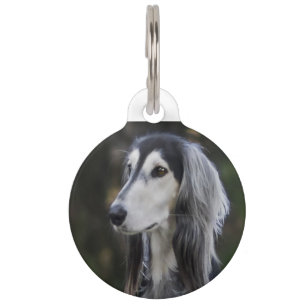 Saluki Dog. Pet Tag