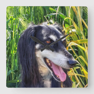 Saluki Dog Square Wall Clock