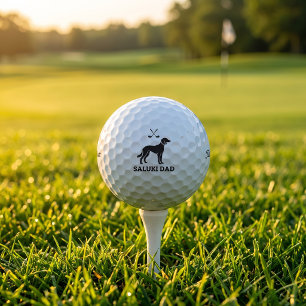 Saluki Golf Dad Titleist Pro V1 Golf Ball Gift