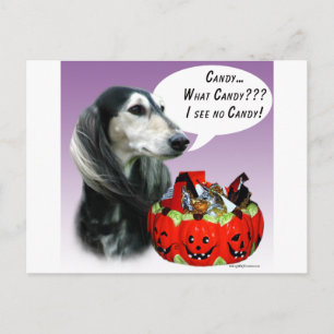 Saluki Halloween Candy Postcard