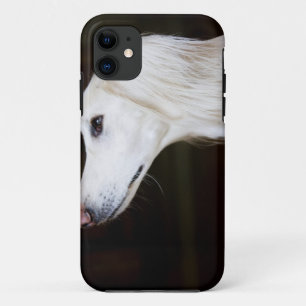 Saluki Looking Up iPhone 11 Case
