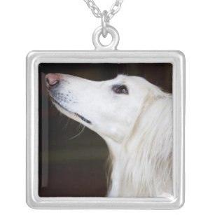 Saluki Looking Up Silver Plated Necklace