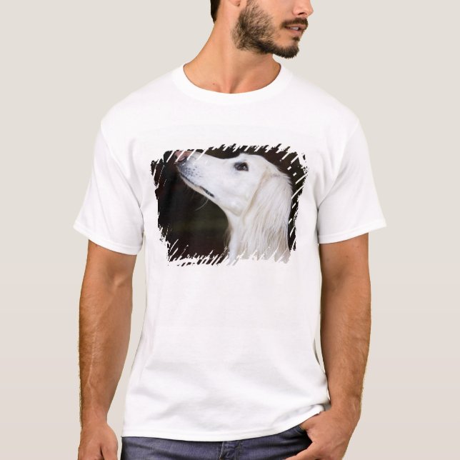 Saluki Looking Up T-Shirt (Front)