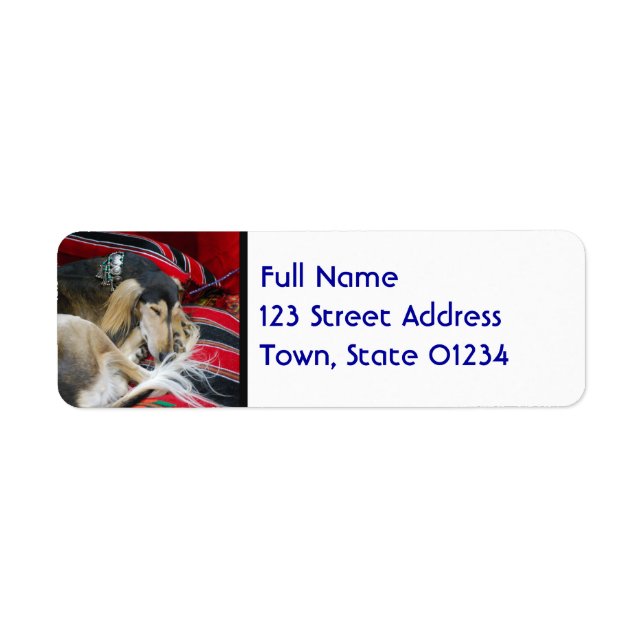Saluki  Mailing Labels (Front)