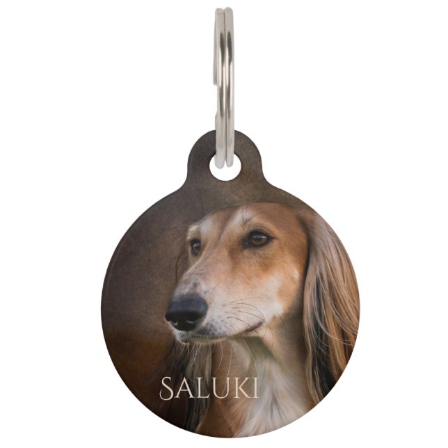 Saluki Pet Tag (Front)