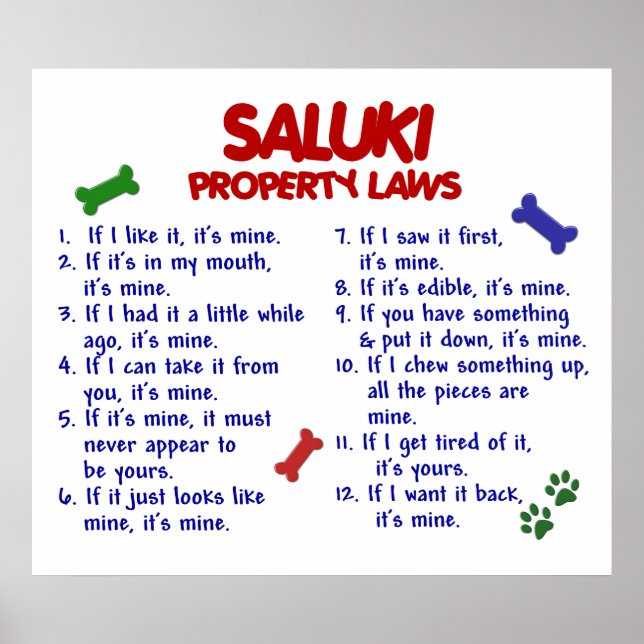 SALUKI PL2 POSTER (Front)