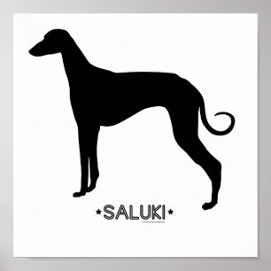 Saluki Print