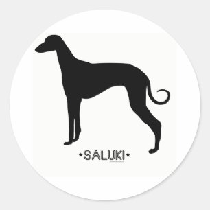 Saluki Sticker