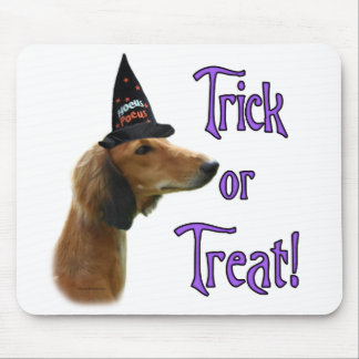 Saluki Trick Mouse Pad