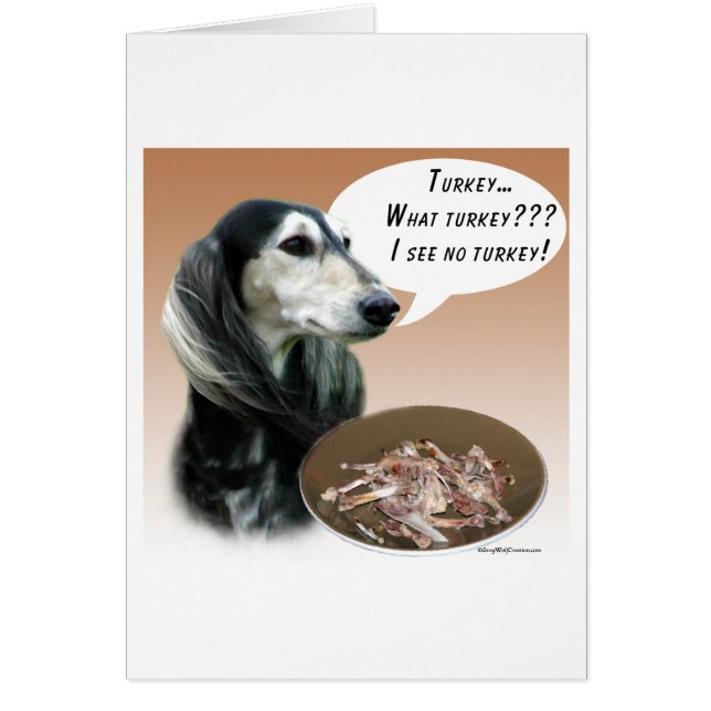 Saluki Turkey (Front)