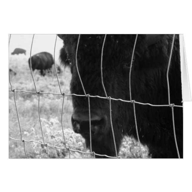 Salut (Devant horizontal)