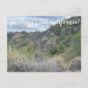 Salutations de Californie ! Carte postale