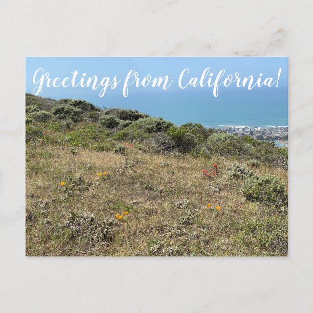 Salutations de Californie ! Carte postale (Devant)
