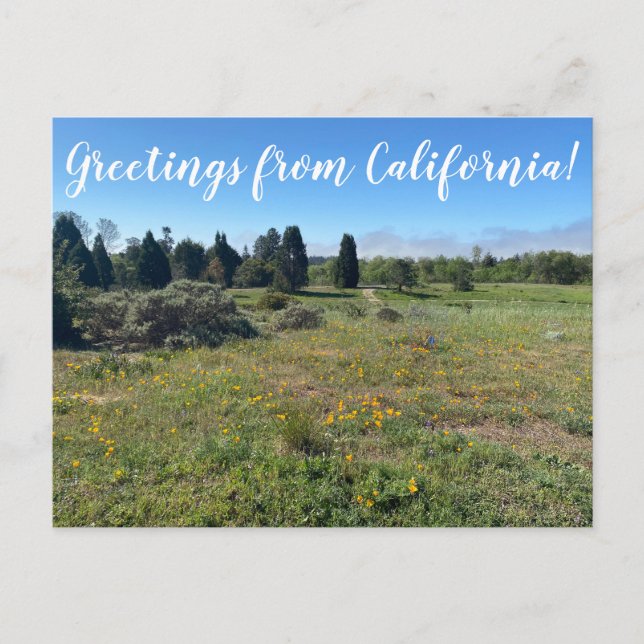 Salutations de Californie ! Carte postale (Devant)