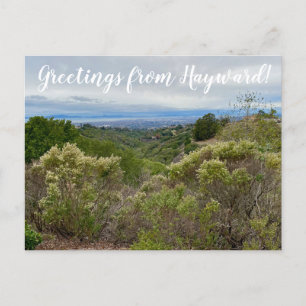 Salutations de Hayward ! Carte postale