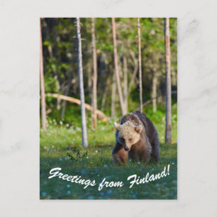 Salutations de la carte postale finlandaise