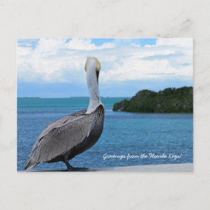 Salutations de la carte postale Florida Keys