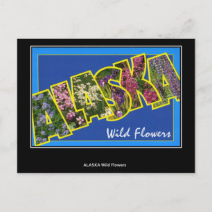 Salutations de la carte postale Vintage Alaska