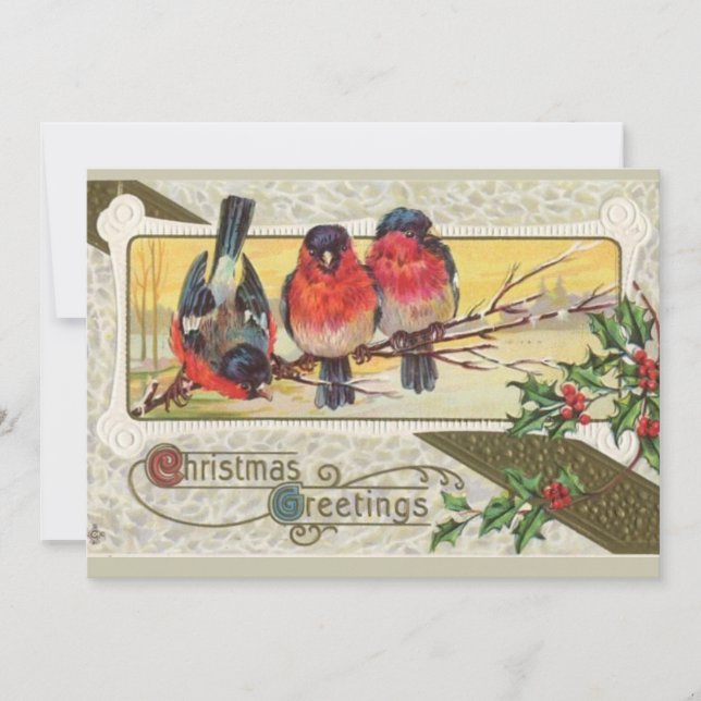 Salutations de Noël - Carte de vacances aux oiseau (Devant)