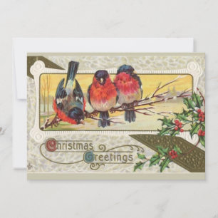 Salutations de Noël - Carte de vacances aux oiseau