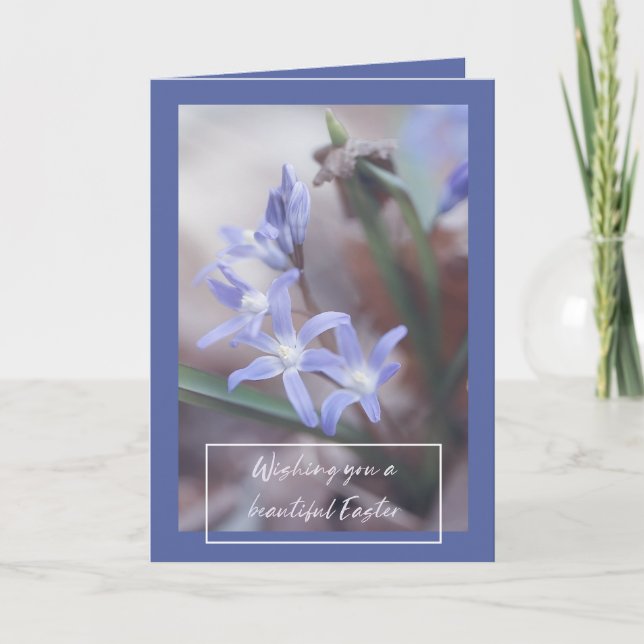 Salutations de Pâques - Chionodoxa - Carte (Devant)