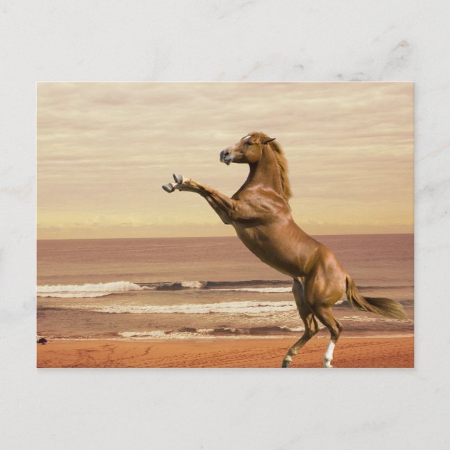 Salute to the Morning Postcard (Front)