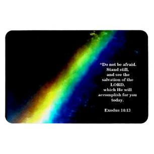 SALVATION OF THE LORD MAGNET