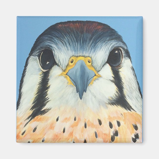 Sam, an American Kestral Magnet (Front)