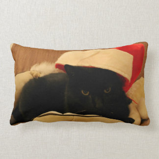 Sam cushion the Cat Christmas edition