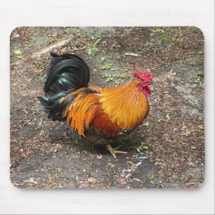 Sam The Rooster Mousepad