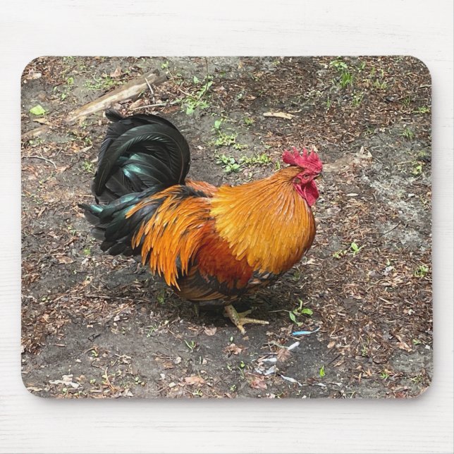 Sam The Rooster Mousepad (Front)