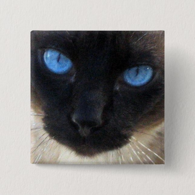 Sam the Siamese cat 2 Inch Square Button (Front)