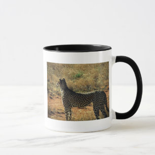 Samburu Cheetah Mug