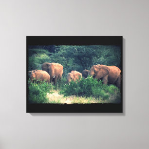 Samburu Elephant Herd Canvas Print