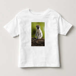 Samburu Game Reserve, Kenya, Vervet Monkey, Toddler T-shirt