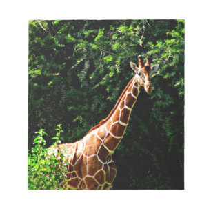 Samburu Giraffe Notepad